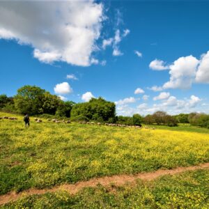 Visit the Park of the Appian Way with kids, tips
