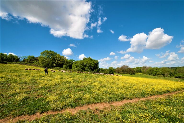 Read more about the article Visit the Park of the Appian Way with kids, tips
