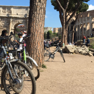 La nostra flotta, benvenuti a bordo!