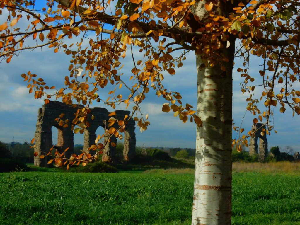 Stretch of the Acqua Claudia in Rome's Aqueduct Park