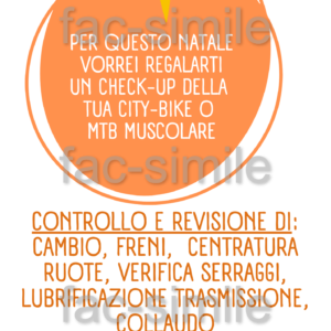 Natale 2022 – Regala un check-up bicicletta