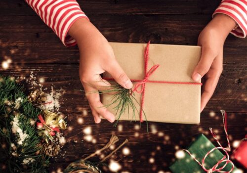 Gift Card Natale 2023 – Regala il divertimento tra storia e natura