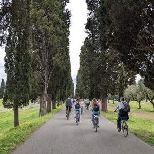In bici con la tua classe! Scopri i nostri percorsi guidati in bicicletta nel Parco dell’Appia Antica.