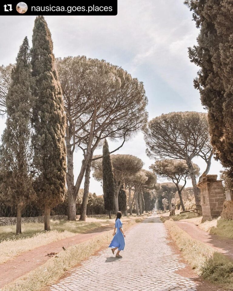 Scopri di più sull'articolo Itinerario breve a piedi nel Parco dell’Appia Antica
