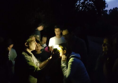 🌟 Lucciole in Caffarella: un successo luminoso… e tante altre occasioni per scoprire la natura!