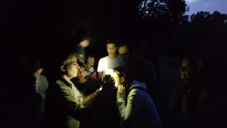 Scopri di più sull'articolo 🌟 Lucciole in Caffarella: un successo luminoso… e tante altre occasioni per scoprire la natura!