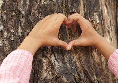 Forest Bathing a Tor Marancia: la nuova proposta del Centro Servizi al Turismo del Parco dell’Appia Antica